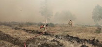 Губернатор Челябинской области Алексей Текслер провел заседание регионального оперативного штаба в связи со  сложной ситуацией с лесными пожарами на юге Челябинской области