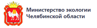 Региональный конкурс полезных подарков «Новогодний подарок своими руками»