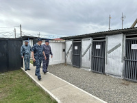 Представители областного полицейского главка оценили службу южноуральских полицейских на КПП «Затеречный»