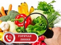 Горячая линия по вопросам качества и безопасности плодово-овощной продукции и срокам годности