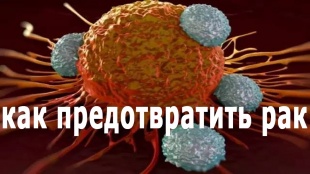 Неделя профилактики онкологических заболеваний: как сократить риск развития рака