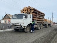 Полицейские предупреждают: "За незаконную рубку лесных насаждений предусмотрена административная и уголовная ответственность"