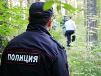 Сотрудники полиции Челябинской области задержали более 20 преступников за два дня