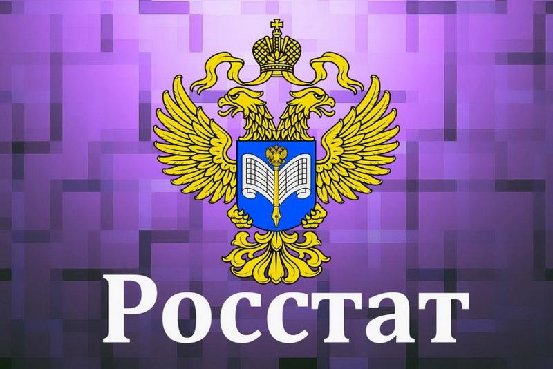 РОССТАТ СОКРАТИЛ СТРАТЕГИЮ РАЗВИТИЯ В ДВА РАЗА