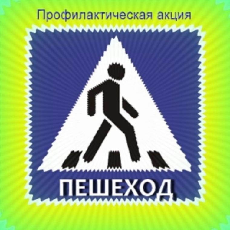 Госавтоинспекция Копейского городского округа проводит мероприятия по профилактике наездов на пешеходов с 17 по 20 июля 2023 года