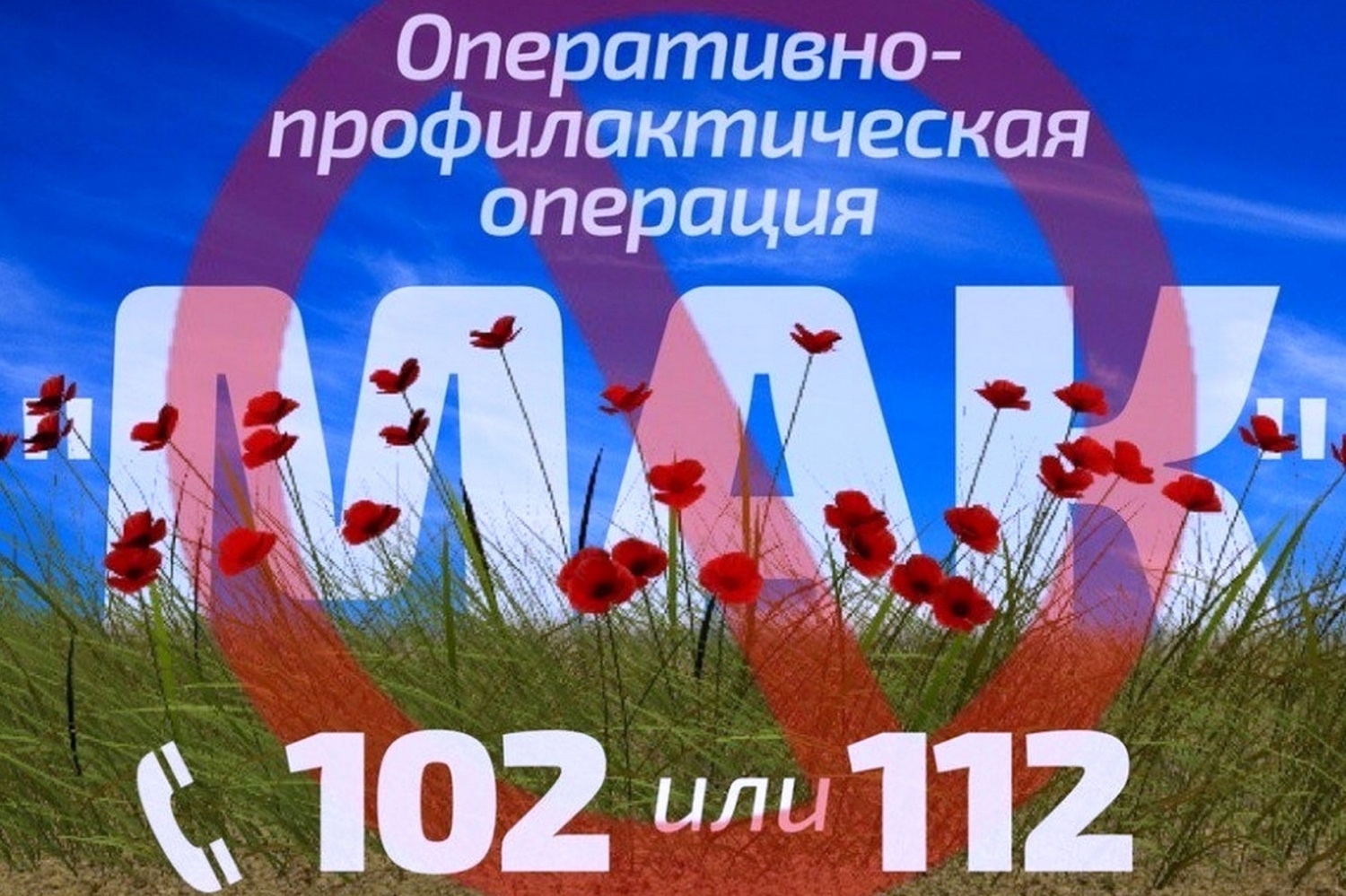 На территории Челябинской области стартовал второй этап оперативно-профилактической операции «Мак 2023»