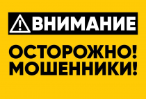 Сотрудники Отдела МВД России по городу Копейску по подозрению в мошенничестве задержали жительницу Челябинска