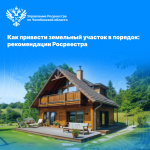 Как привести земельный участок в порядок: рекомендации Росреестра