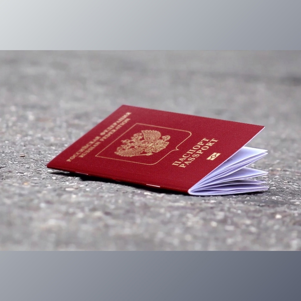 Что делать, если потерял паспорт: исчерпывающее руководство на все случаи жизни - Лайфхакер