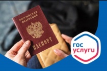 Жители Челябинской области смогут получить российские паспорта в предельно сжатые сроки