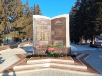 В Копейске прошел митинг, посвященный Дню памяти воинов-интернационалистов
