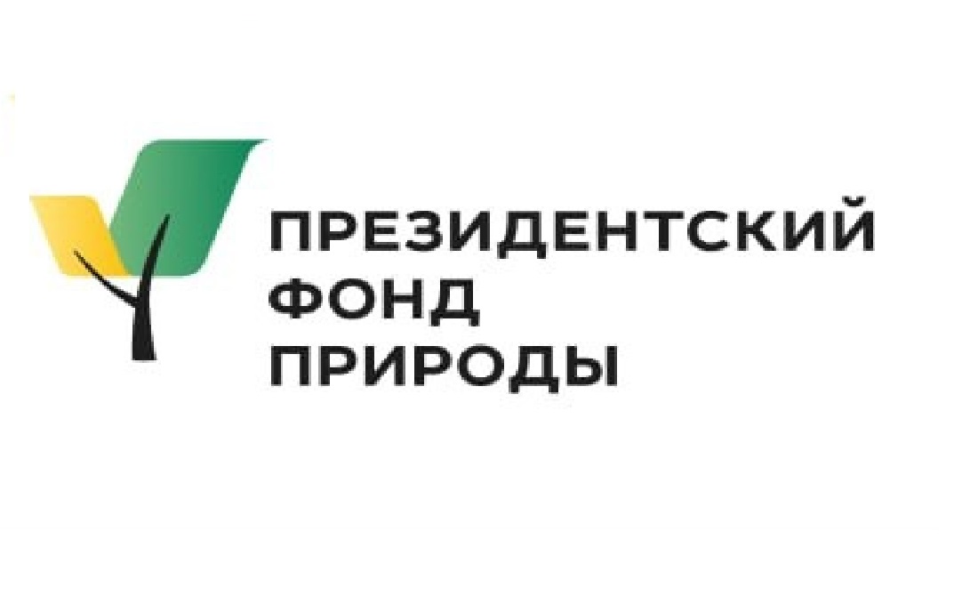 Стартовал прием заявок на конкурс экологических и природоохранных проектов Президентского фонда природы