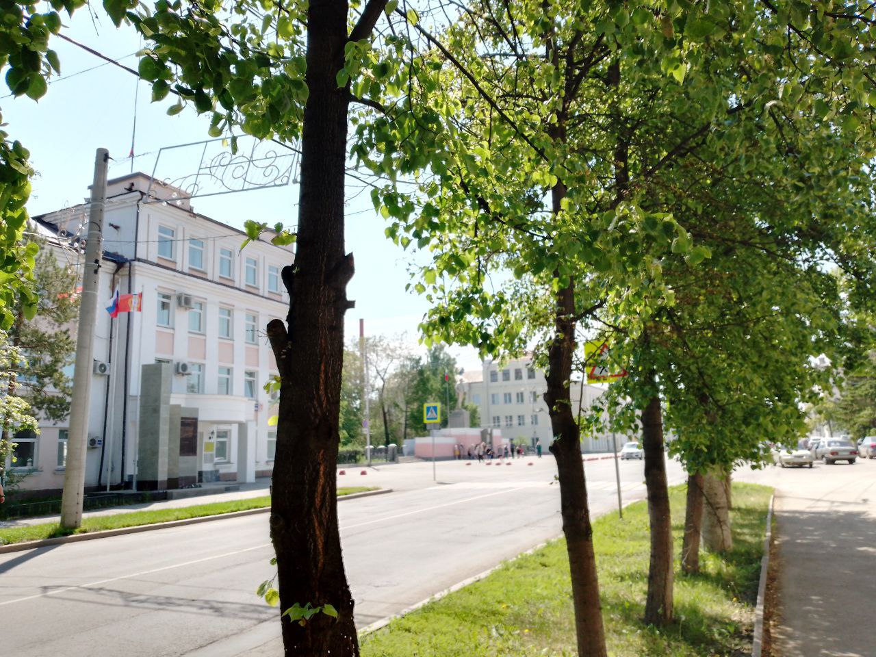 В Копейске продолжается спил и обрезка деревьев | 04.06.2024 | Копейск -  БезФормата