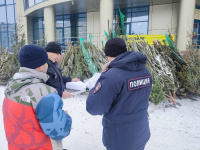 Копейские полицейские изъяли около 160 хвойных деревьев у нелегального продавца