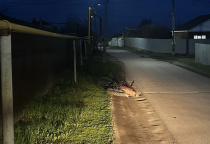 05.04.2025 года около 19:40 часов в районе дома 55 по ул. Яблочкина, г. Копейска, несовершеннолетний водитель  2009 года рождения, управляя мотоциклом «PROMAX MX280 REDBULL» не справился с управлением и совершил падение с мотоцикла