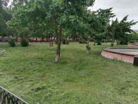 В Копейске скосили траву по 10 адресам за неделю
