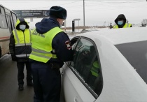 Сотрудники ГИБДД г. Копейска провели рейд по выявлению нарушений перевозки детей-пассажиров