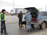 В Копейске полицейскими проведено оперативно-профилактическое мероприятие «Ночь»