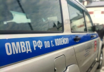 Сотрудники Госавтоинспекции провели профилактическое мероприятие в детском саду № 34 города Копейска в рамках акции «Внимание — дети!»
