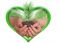 Детская библиотека № 8 поселка Горняк приняла участие в акции «Сохрани дерево — сохранишь планету!»
