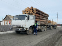 Полицейские предупреждают: "За незаконную рубку лесных насаждений предусмотрена административная и уголовная ответственность"