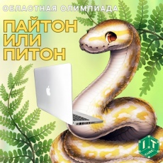 «IT-куб» приглашает школьников на олимпиаду по программированию «Пайтон или Питон»