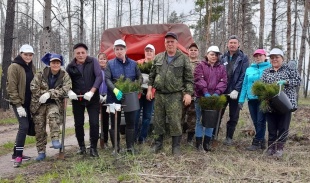 К 30-летию российской почты сотрудники компании высадили около 5 000 саженцев в Челябинской области