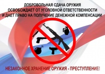 Отдел МВД России по городу Копейску напоминает о возможности добровольной сдачи предметов вооружения