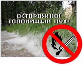 ОСТОРОЖНО, ТОПОЛИНЫЙ ПУХ!