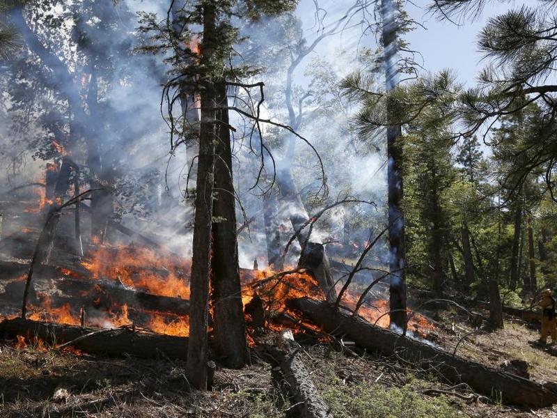 Пожароопасный сезон начался в лесах Челябинской области