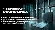 Полицейские Южного Урала рассказали, кого используют злоумышленники для ведения «теневой» экономики и какая ответственность предусмотрена за такие действия 