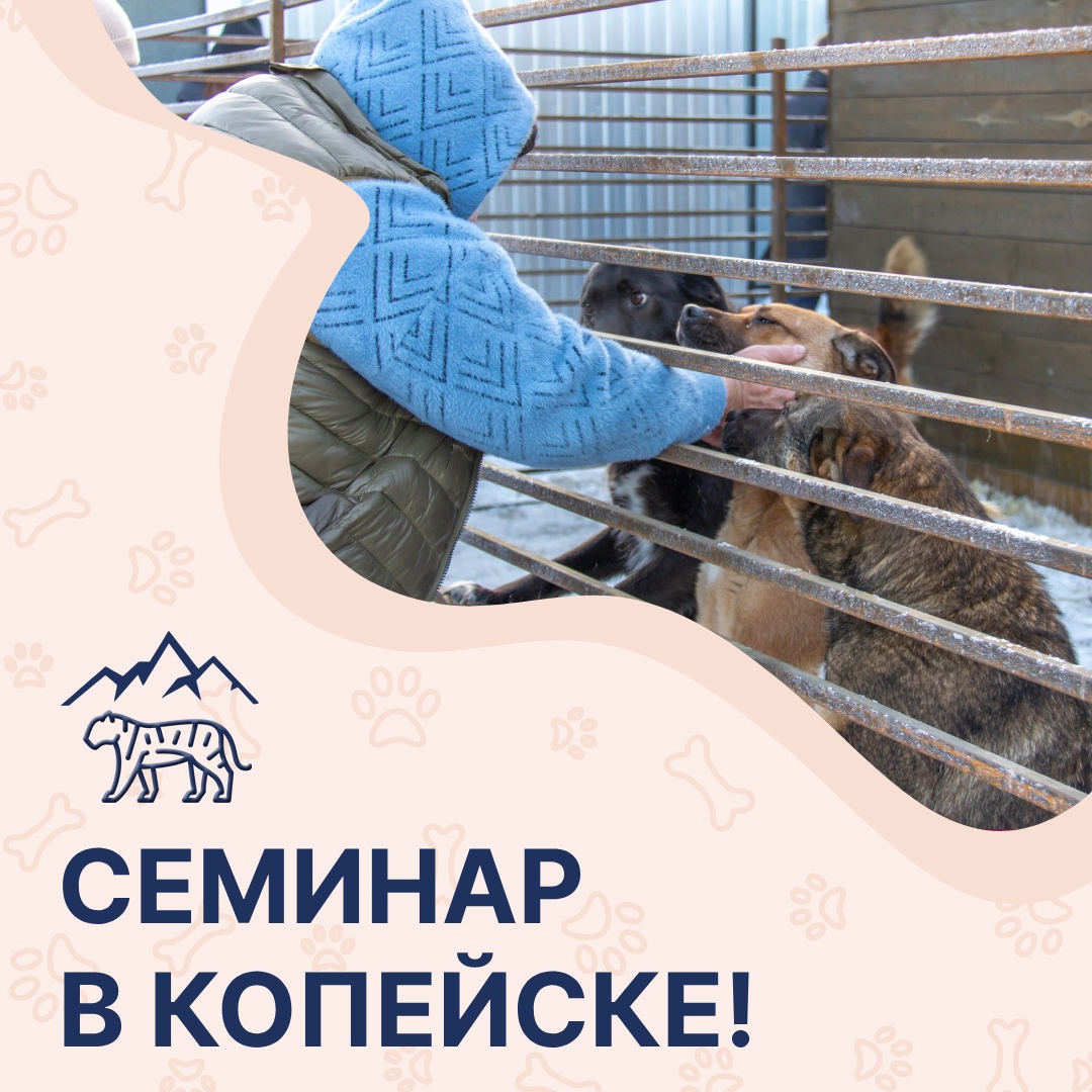 16 февраля в 15:00 состоится семинар по зоозащите в Копейске!