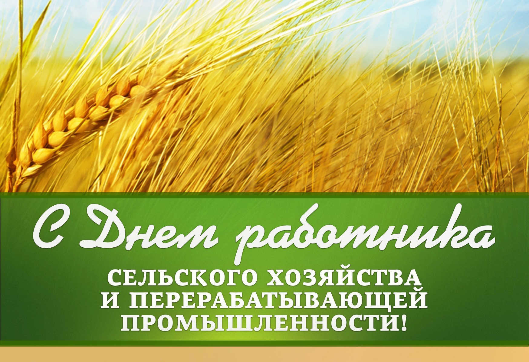 Поздравление губернатора Челябинской области Алексея Текслера с Днем работника сельского хозяйства и перерабатывающей промышленности