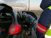 Представители Добровольной народной дружины приняли участие в проведении оперативно-профилактического мероприятия "Ночь"