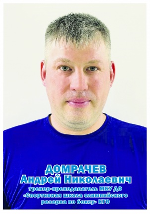 Домрачев Андрей Николаевич