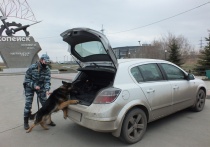 Сотрудники Отдела МВД России по городу Копейску провели  оперативно-профилактическое мероприятие «Ночь»