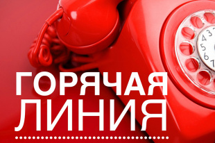 О проведении телефонной горячей линии по услугам такси и каршеринга