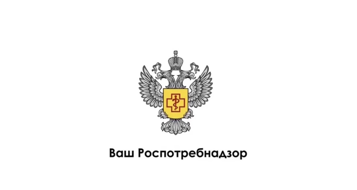  Здоровые привычки формируются из простых ежедневных действий