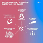 Стражи порядка напоминают основные правила, которые помогут сохранить ваше имущество и природу нашего края