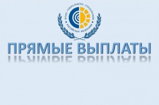 До старта проекта «Прямые выплаты» в Челябинской области осталось несколько месяцев