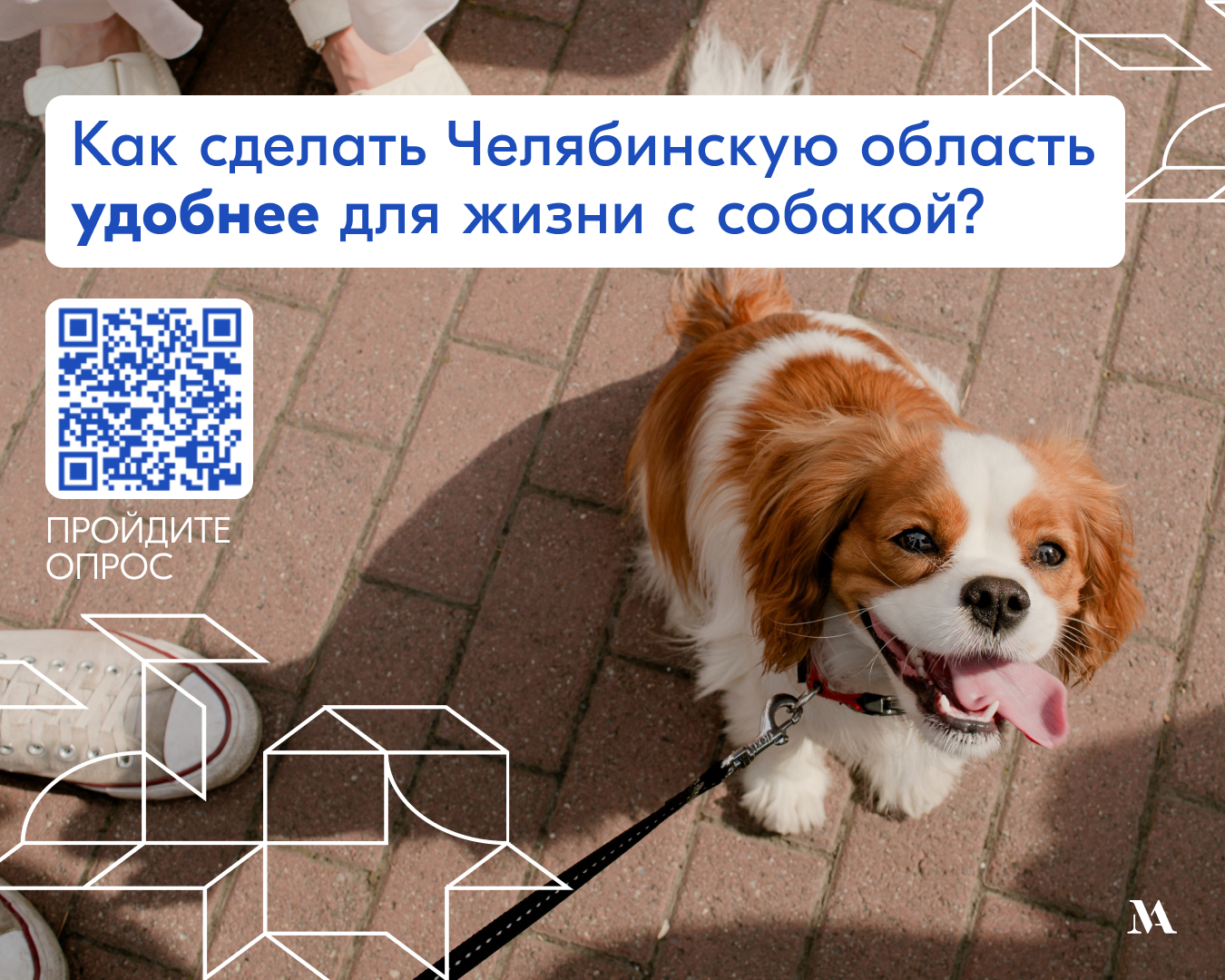 Что сделать, чтобы в Челябинской области было удобно жить с собакой?
