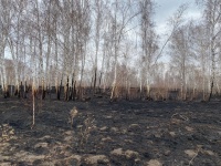Штрафы за сжигание травы увеличили в 10 раз