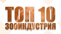 Конкурс «ТОП 10 инновационных компаний в зооиндустрии»