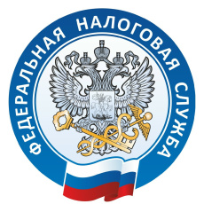 Инспекция проведет горячую линию по вопросу декларирования доходов                  