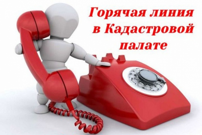 Кадастровая палата проконсультирует кадастровых инженеров на горячей линии