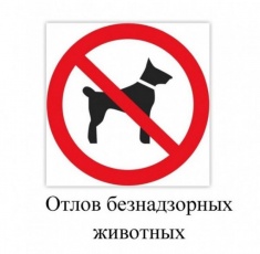 Администрация Копейского городского округа информирует о порядке подачи заявок по вопросу отлова животных без владельцев на территории округа