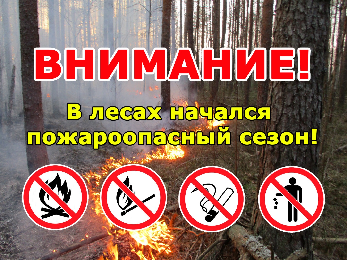 Информирование населения о повышении пожарной опасности в лесах